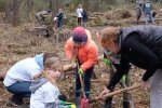 Pflanzaktion-im-Gemeindewald-Seeheim-23-10x14s