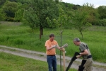Kirschgarten 08