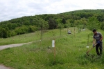 Kirschgarten 13