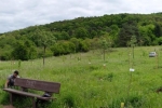 Kirschgarten 14