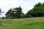 Kirschgarten 03