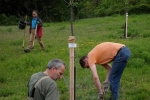 Kirschgarten 05