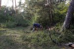 Einsatz-Wald-Odenwaldstrasse-07-10x15s