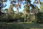 Einsatz-Wald-Odenwaldstrasse-13-10x28s