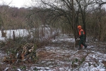 Einsatz Weide an der Straba 05