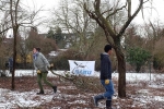 Einsatz Weide an der Straba 08