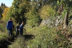 NABU-Einsatz am Weg 1