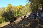 NABU-Einsatz am alten Weinberg 05
