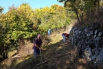 NABU-Einsatz am alten Weinberg 07