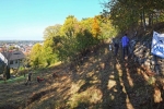NABU-Einsatz am alten Weinberg 03