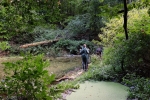 Dornbachteich 3