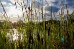 Hermelinweiher 3