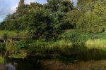 Wühlmausweiher 2