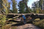 aussteigen-09-Windbruch-03-10x15s