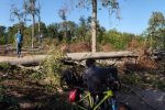 aussteigen-09-Windbruch-07-10x31s