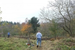 Weide Dieburger Strasse - Klaus-Dieter und Thomas bauen am Naturzaun 3