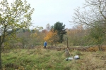 Weide Dieburger Strasse - Thomas baut am Naturzaun 1