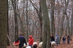 Waldwanderung mit Schafen 05_ 10x14s