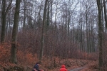 Waldwanderung mit Schafen 07 10x15s