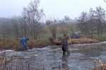 Schilfernte am Auweiher 18 10x22s