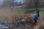 Schilfernte am Auweiher 4 10x29s