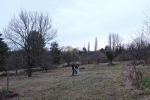 Baumschutz 2