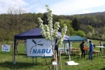 Kirschgartenfest Aufbau 5