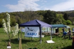 Kirschgartenfest Aufbau 6
