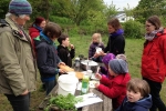 Kräuter sammeln im Wühlmausgarten 3