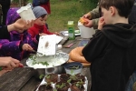 Kräuter sammeln im Wühlmausgarten 5