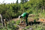 Wühlmausgarten 3