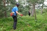 Bickenbacher-Düne-03-Einsatz-5-10x15s
