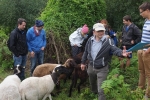 NABU Wesser Team Training 2
