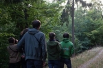 Abendlicher Pirschgang - Hirschkuh mit Kalb 1