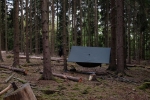 Wühlmaus-Lager Taunus 03