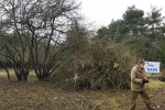 Einsatz Straba-Weide 10