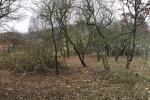 Einsatz Straba-Weide 11