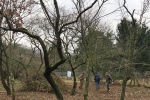 Einsatz Straba-Weide 14