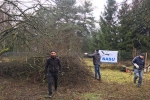 Einsatz Straba-Weide 02