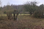 Einsatz Straba-Weide 05