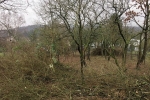 Einsatz Straba-Weide 06