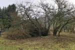 Einsatz Straba-Weide 07