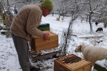 Winterbehandlung 01