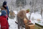 Winterbehandlung 02