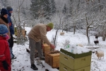 Winterbehandlung 03