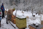 Winterbehandlung 05
