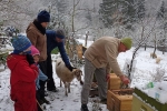 Winterbehandlung 06