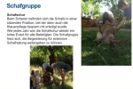 Folie05