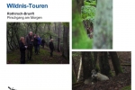 Folie23