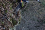Arbeit am Kasten 06 10x15s